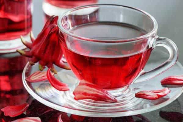 تصویر 4 از معرفی چای ترش + بهترین قیمت خرید